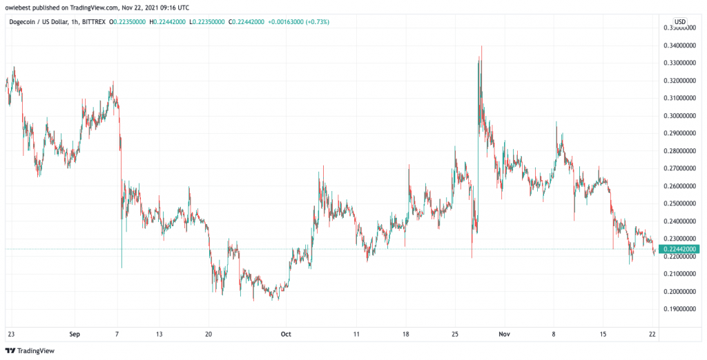 Dogecoin and Shiba Inu topped the most-searched list in the United States in November