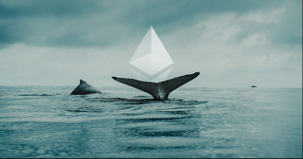 ETH Whales Diversifying to other Altcoins after decline in Ethereum price