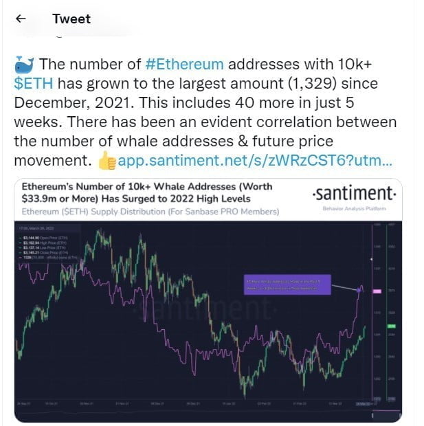 Bitcoin Long-term Holder Accumulation Reaches New High, Ethereum Whales Addresses Increase