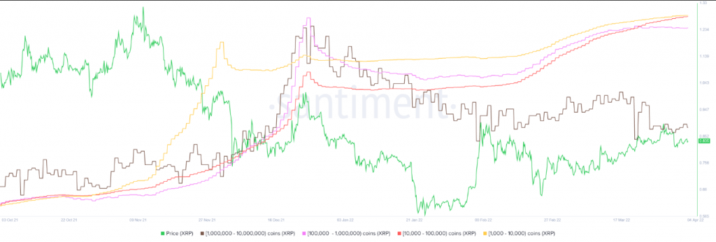 XRP price chart | Coinscreed LLC