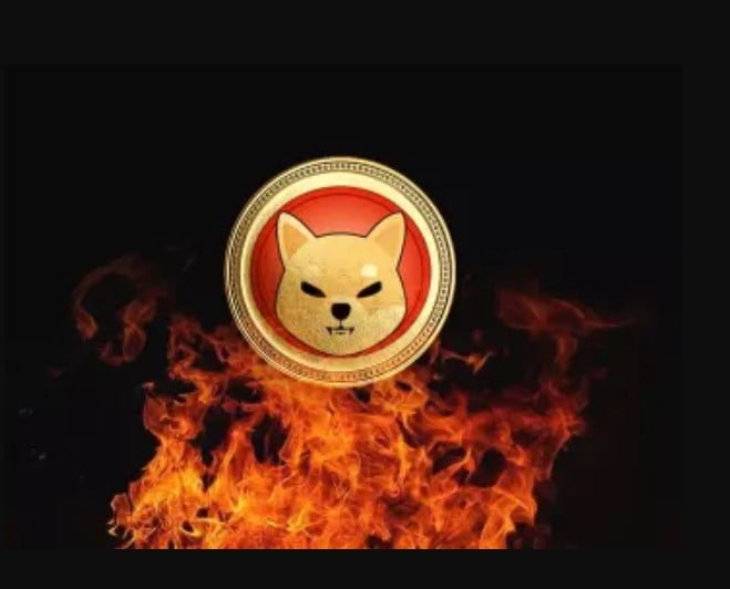 Do These SHIB Tokens Burn Mean A Recovery For Shiba Inu?