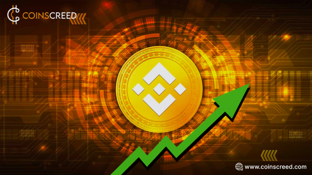 BNB coin finally surpasses its $300 mark price