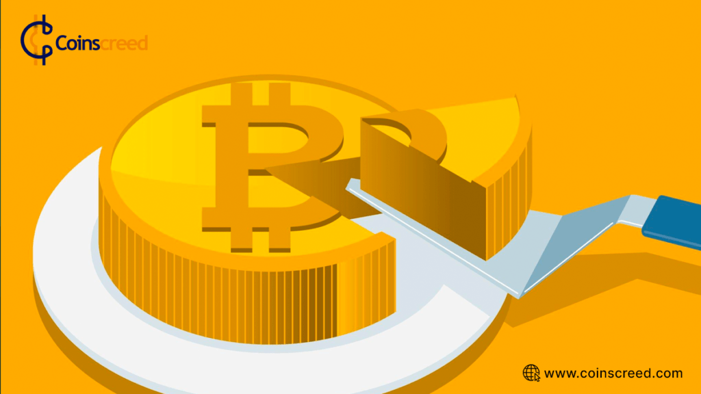 Everything You Need To Know About Blockchain Splitting (Fork)