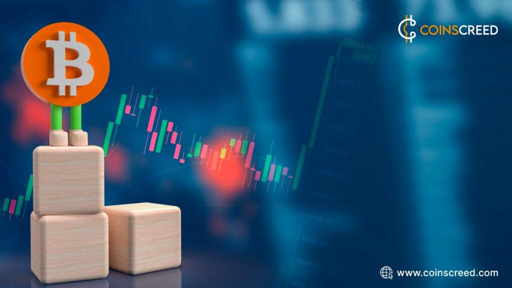 The Role Of Stablecoins In The Crypto Market