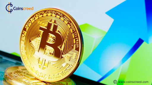 How To Identify And Invest In An Original Cryptocurrency