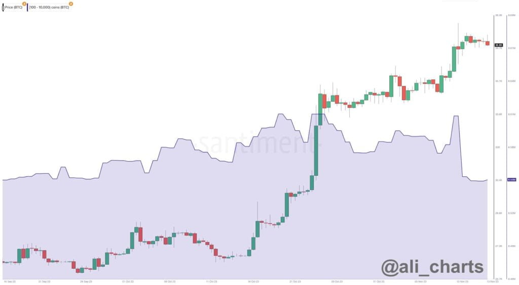 Bitcoin (BTC) Whales Cash Out in Massive Numbers