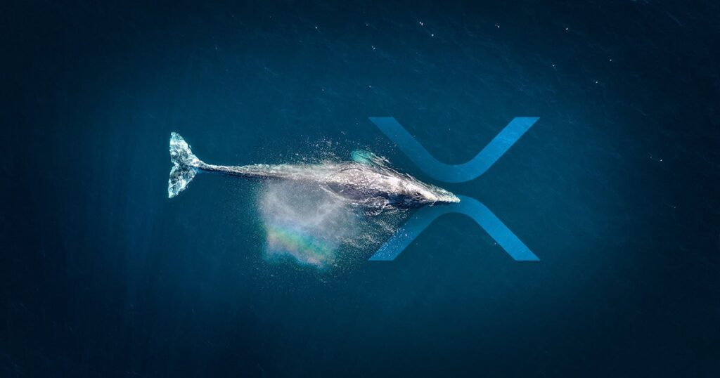 XRP Whale Shifts 51M Coins Amid Ripple's US SEC Reply Letter