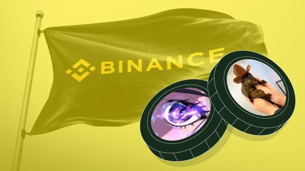 Binance CMO: Memecoin Listings Come with No Guarantees