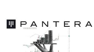 Pantera Capital Invests $300 Million in Crypto Treasury Firms, Predicts Gains Could Surpass ETFs