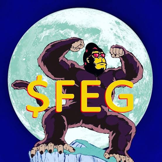 Shitcoin Season: The rise of the Gorilla coin (FEG) and what the future holds