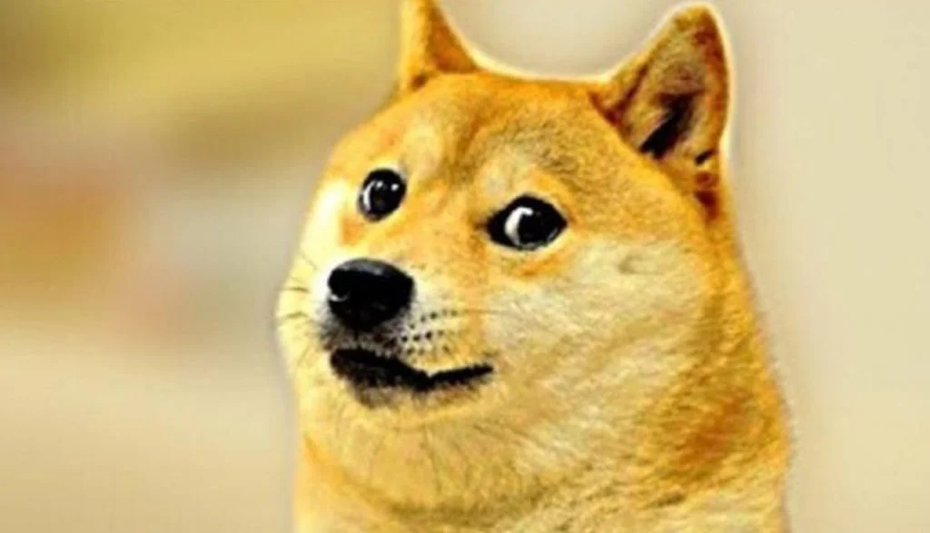 Dogecoin: Should We ‘Dismiss a good meme’?