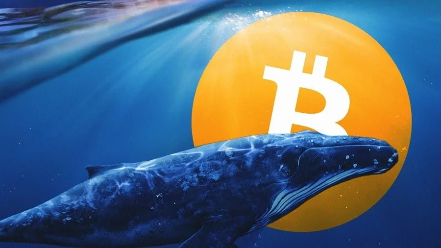 Bitcoin Whales Amass BTC As Bitcoin Halving Draws Near