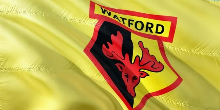 Watford FC's new sponsorship deal to be paid in cryptocurrency