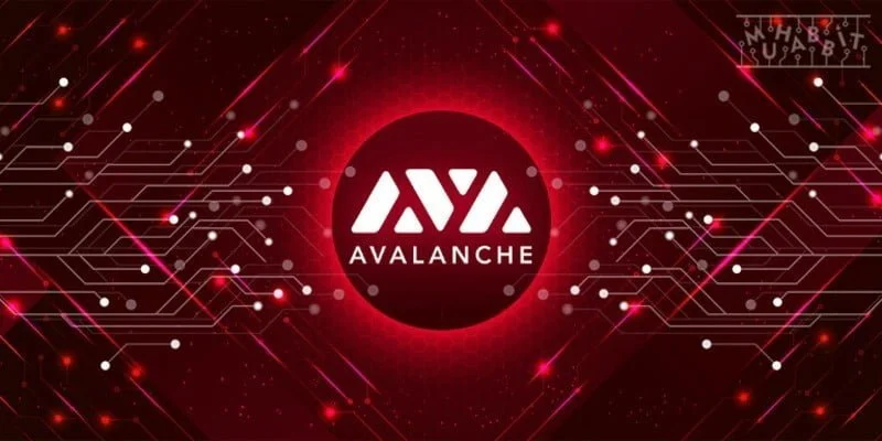 Avalanche Pauses Block Production Following Technical Issues