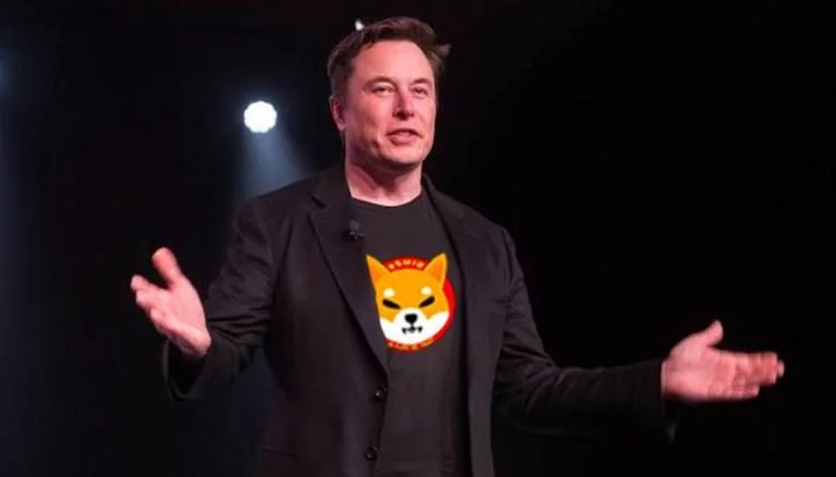 Is Elon Musk hinting at taking Shiba Inu to the moon?