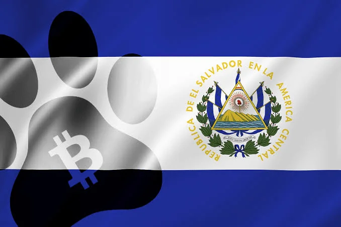 See how RSK-Based Kripton Market Brought Bitcoin to 700 El Salvador Businesses