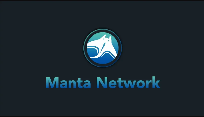 Manta Network, a privacy layer for the Polkadot ecosystem raises $5.5M