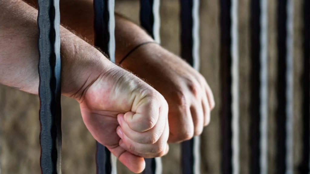 Bitcoin Investmen A Young Director in Da Nang Reportedly Sentenced to 20 Years in Jail for Fraudulent Property Possession - Coinscreed Latest Bitcoin and Crypto Updates