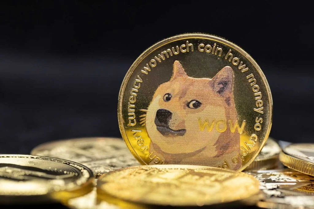 Large Investor Increases Dogecoin Holdings by 6.3 Million Coins