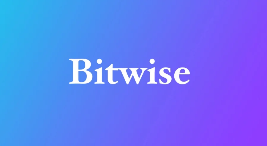 Bitwise launches its new index fund dubbed 'the Blue-Chip NFT Index Fund'