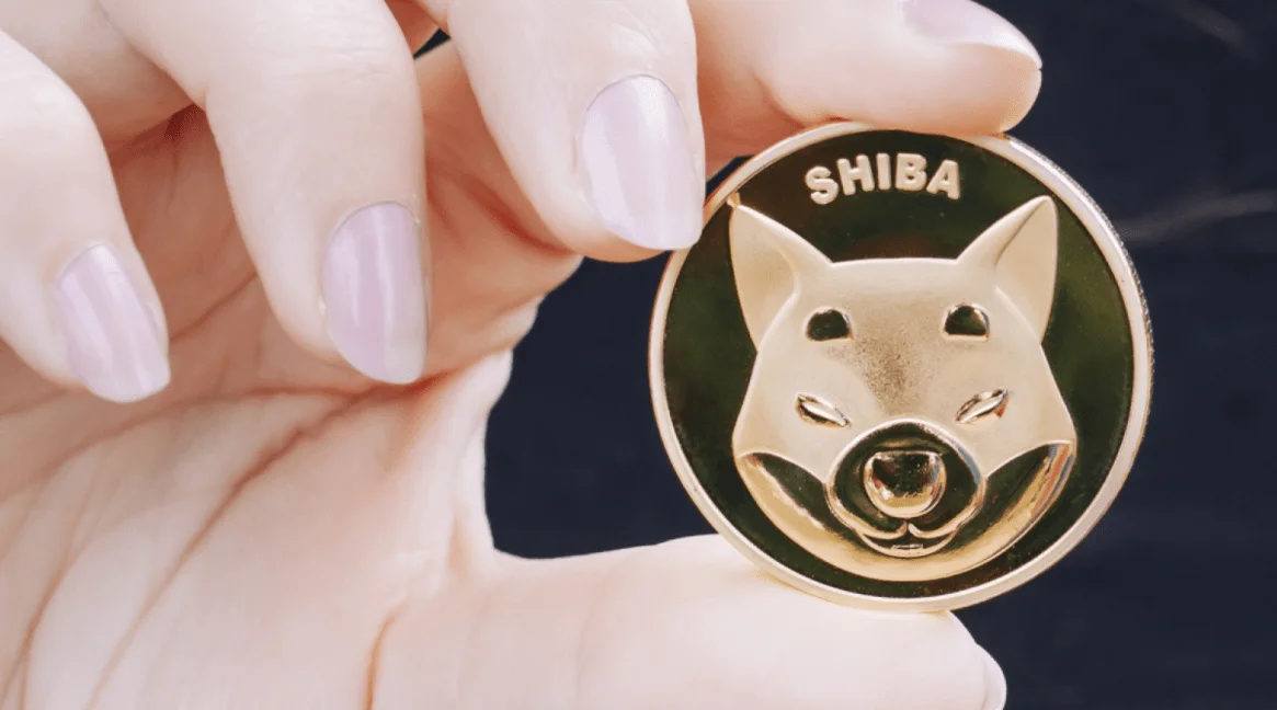 Shiba Inu rises 10% amid $4 trillion inflow from Ether whales