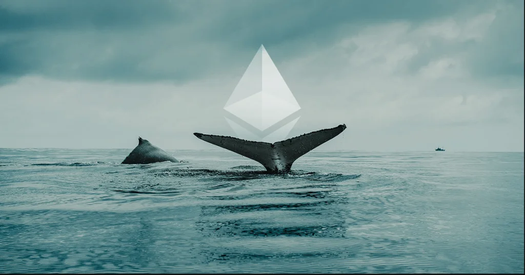 ETH Whales Diversifying to other Altcoins after decline in Ethereum price