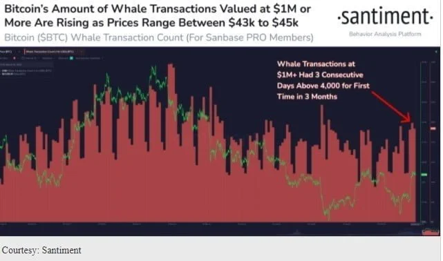 BTC SLOW - Coinscreed Latest Bitcoin and Crypto Updates