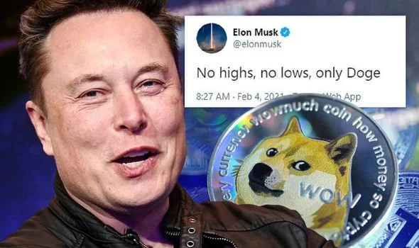 Musk's Crypto Tweets are Safe for Now