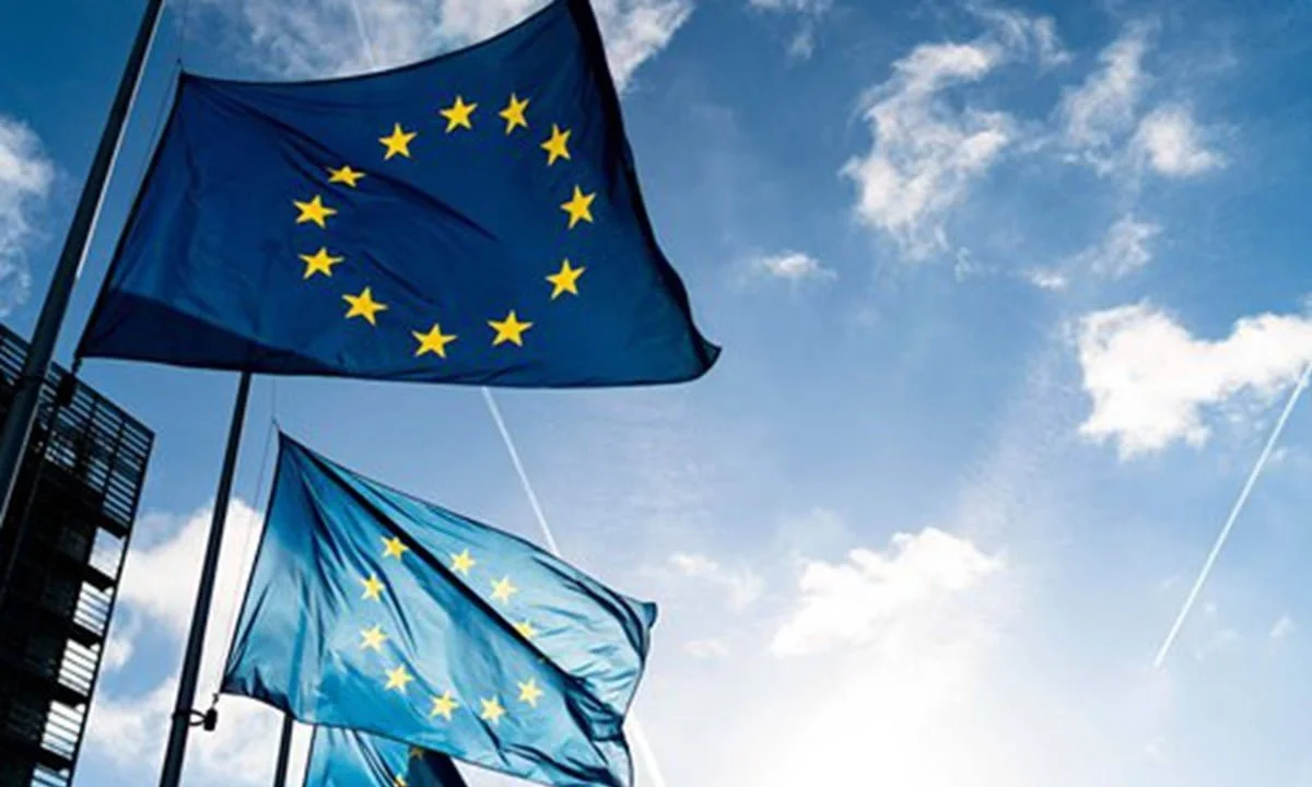 Crypto Industry representatives are aiming to limit the proposal's potentially harmful influence on the sector's development as the European Union institutions continue to debate on the controversial Transfer of Funds Regulation (TFR).