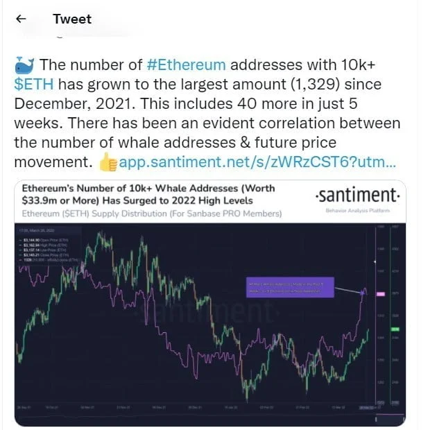 Bitcoin Long-term Holder Accumulation Reaches New High, Ethereum Whales Addresses Increase
