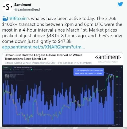 Bitcoin stalls after reaching $48,000, Whale activity remains strong