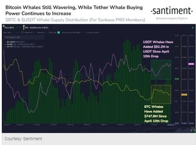 Volatility Increases As Bitcoin Whales Continue Acquiring Sub $40,000 Levels