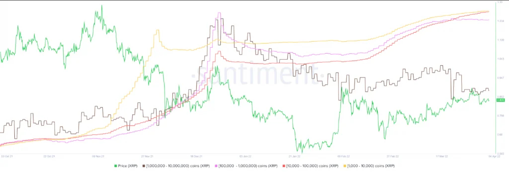 XRP price chart | Coinscreed LLC