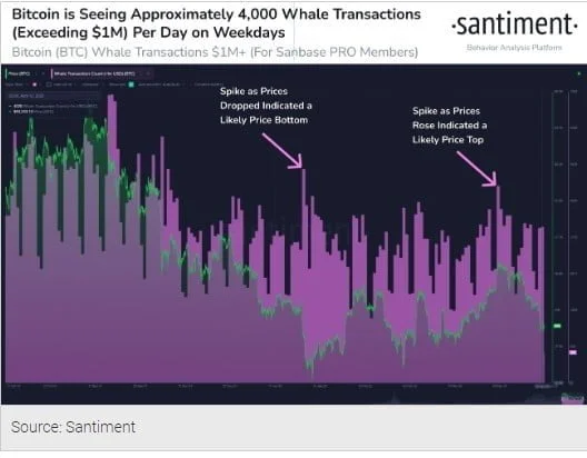 Bitcoin (BTC) Whale Trade Indicates Recovery From $40k, Here's Why 