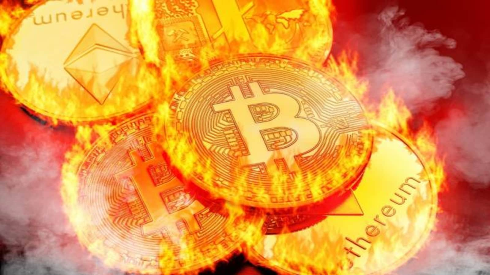 Crypto Crash: What You Need To Know