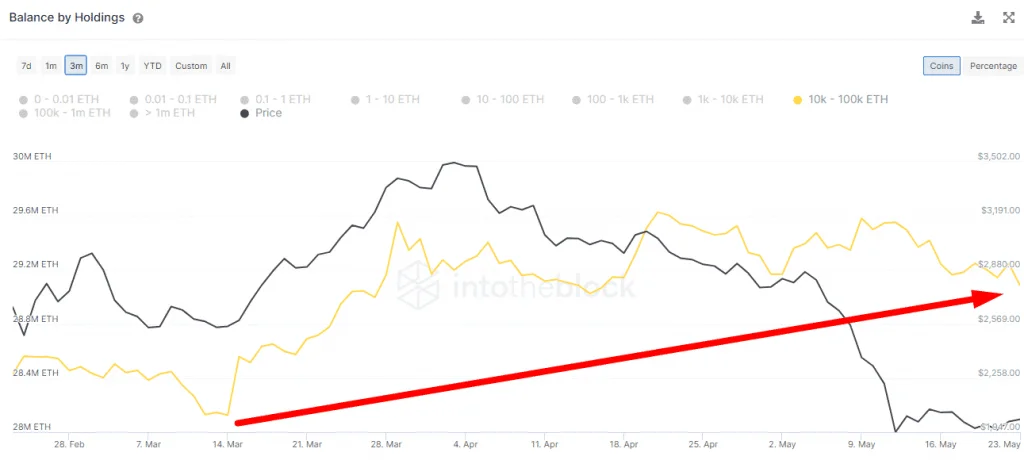 Ethereum ETH Whale Holdings - Coinscreed Latest Bitcoin and Crypto Updates