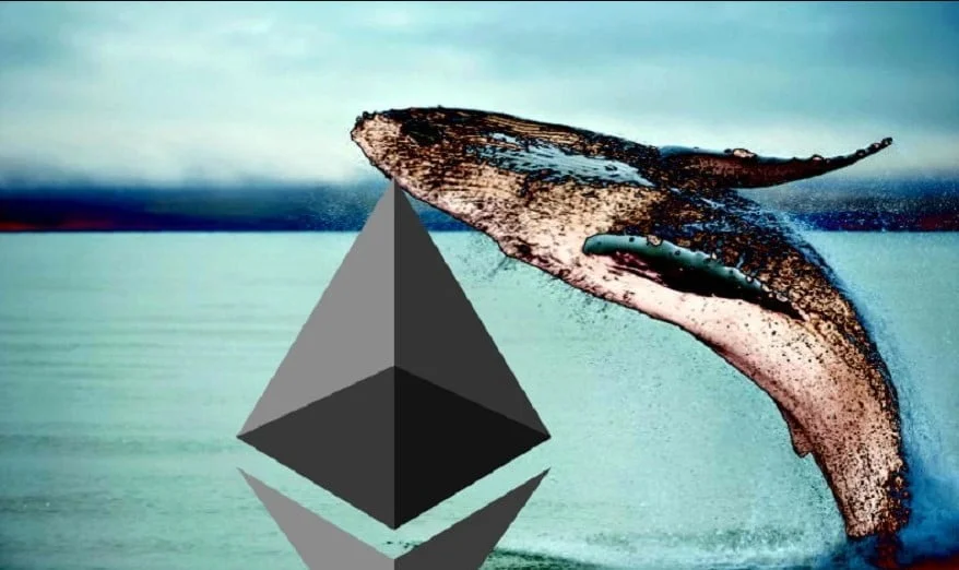 Ethereum Whales Is Buying Several Cryptos Amid Market Crash