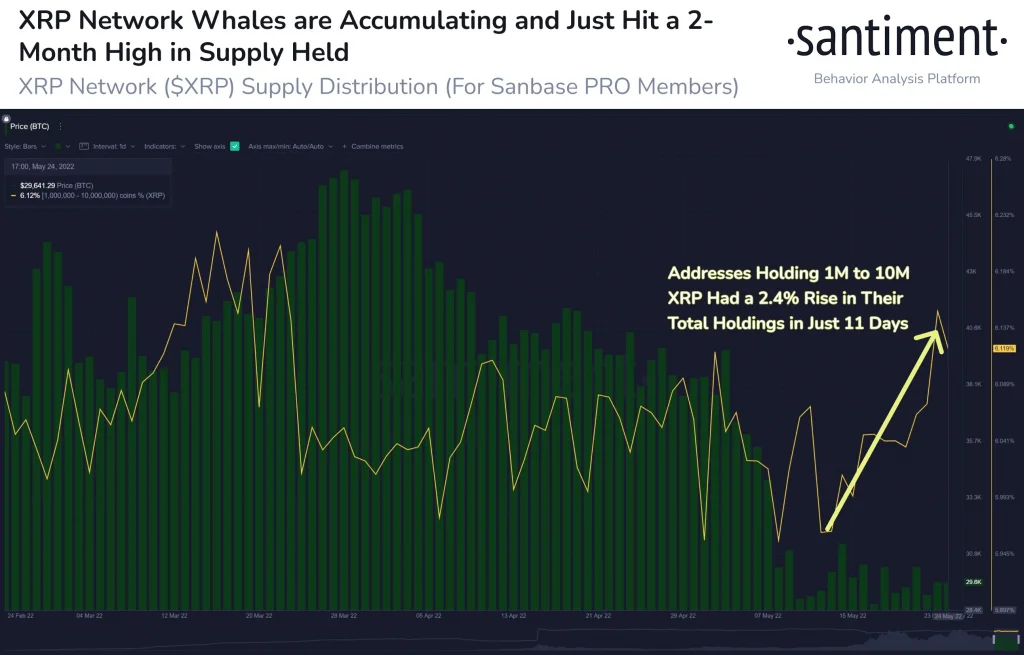 XRP Whales Holdings Reach 2 Months High