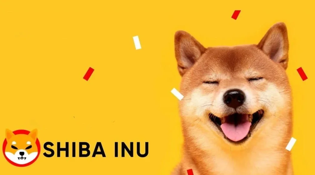 Here's Why Shiba Inu (SHIB) Sell Signals Show Losses 