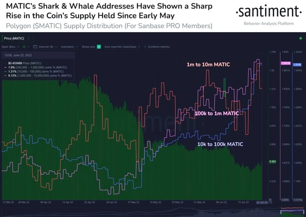 Polygon MATIC Whale Accumulation.jpeg - Coinscreed Latest Bitcoin and Crypto Updates