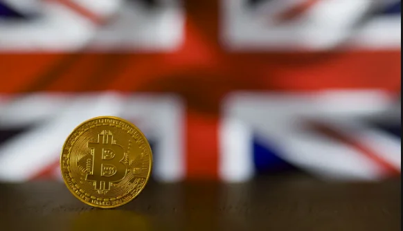 British crypto owners are mostly hodler - Survey