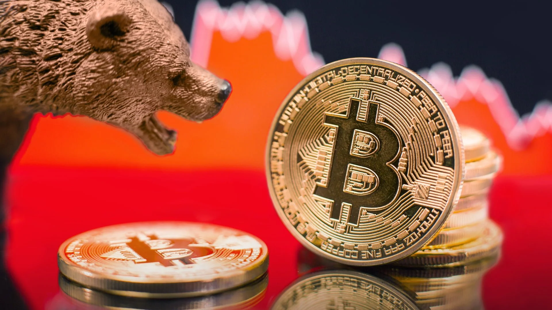 White Rock CEO: Crypto bear market offers great M&A prospects