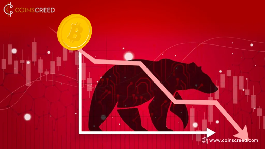 Crypto Bear Market and How to survive it