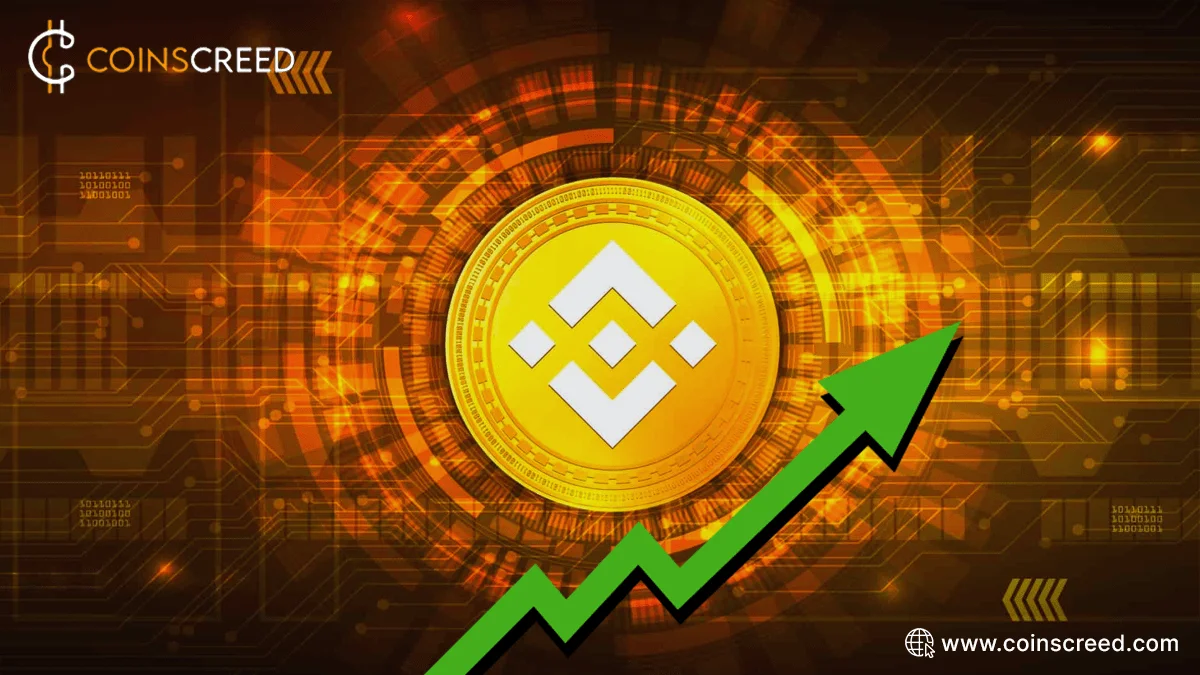 BNB coin finally surpasses its $300 mark price