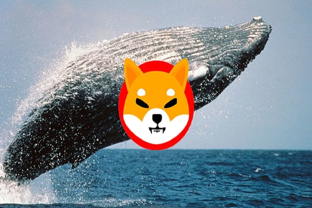 Whales Move 3.3 Trillion Shiba Inu