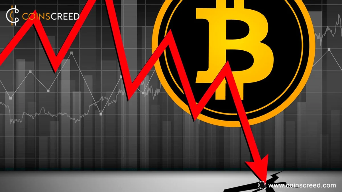 Will Bitcoin Crash? Find out the truth behind the speculation