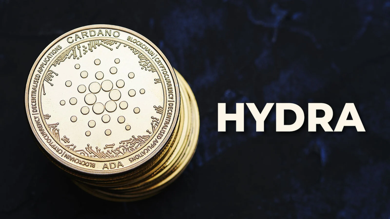 Cardano's Hydra Gets New Update