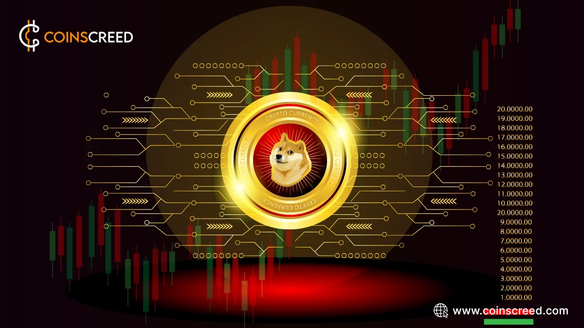 Decoding the Hype Around Dogecoin