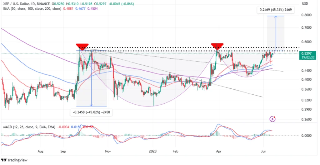 now now - Coinscreed Latest Bitcoin and Crypto Updates