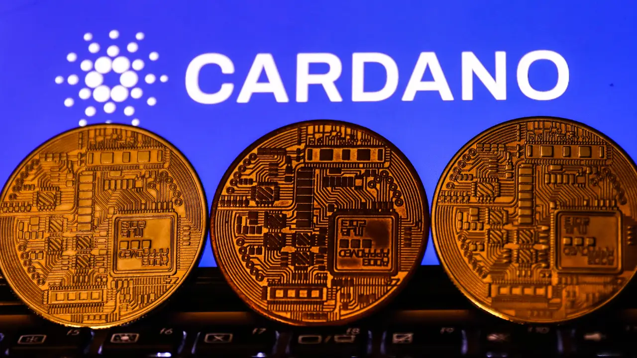 Cardano Community to Expect Hydra Pay Protocol